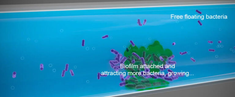 How do you know if you have Biofilms in your CIP lines? - Innogiene